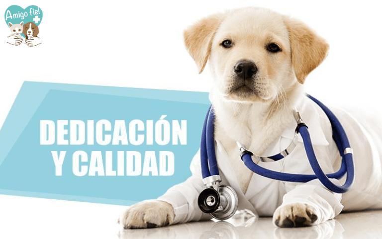 Necesitas internet para cargar esta imagen :v